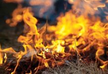 В Шымкенте объявлено штормовое предупреждение