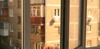 7-летний мальчик выпал из окна и разбился насмерть