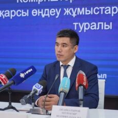 В Шымкенте общая посевная площадь составит 27 тысяч гектаров