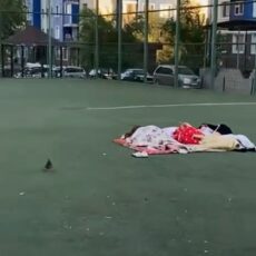 Шымкентцы спасаются от жары, ночуя на футбольном поле