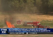 Масштабные учения по тушению лесных пожаров прошли в Шымкенте