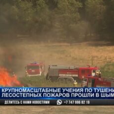 Масштабные учения по тушению лесных пожаров прошли в Шымкенте