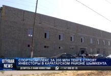 Крупный спорткомплекс построят инвесторы в Шымкенте