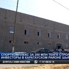 Крупный спорткомплекс построят инвесторы в Шымкенте