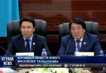 В акимате Шымкента прокомментировали перебои в работе инватакси