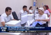57 тысяч жителей Шымкента обеспечат работой до конца года