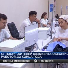 57 тысяч жителей Шымкента обеспечат работой до конца года