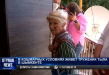 Кишащий тараканами дом ветерана из Шымкента шокировал соцсети