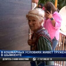 Кишащий тараканами дом ветерана из Шымкента шокировал соцсети