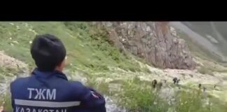 Тело сорвавшегося с горы альпиниста нашли спасатели (видео)