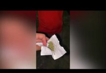 «Запрещенную вечеринку» устроили в авто жители Шымкента