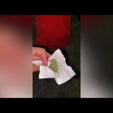 «Запрещенную вечеринку» устроили в авто жители Шымкента