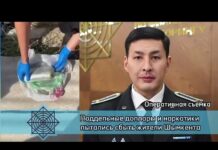 Фальшивые доллары и 6 кг гашиша обнаружили у жителей Шымкента