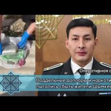 Фальшивые доллары и 6 кг гашиша обнаружили у жителей Шымкента