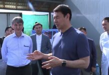 Корм из отхода для рыбы и птиц могут производить в Туркестанской области