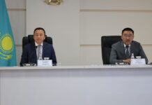 В селе Жибек жолы прокуроры обойдут все дома после смерти 5-летней девочки