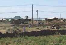 Что известно о предполагаемом убийце с поселка Жибек жолы