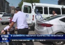 В Шымкенте увеличат численность транспорта инватакси