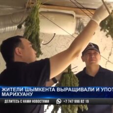 Задержаны организаторы нарколаборатории в Туркестанской области
