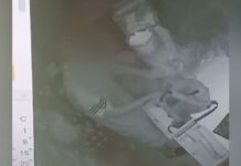 «Карлсона» задержали в дачном массиве Шымкента (видео)