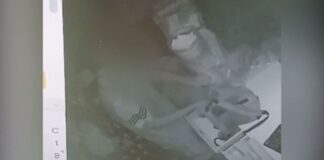 «Карлсона» задержали в дачном массиве Шымкента (видео)