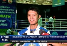 В Шымкенте стартовал чемпионат РК по кикбоксингу