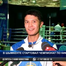 В Шымкенте стартовал чемпионат РК по кикбоксингу