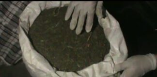 Полный мешок марихуаны нашли у пассажирки такси в Шымкенте