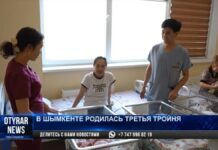 Третья тройня родилась в Шымкенте