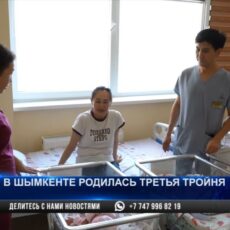 Третья тройня родилась в Шымкенте