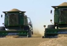 Фермеры просят выделить средства для льготного лизинга