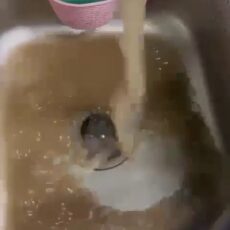 В Казахстане назревает водный кризис