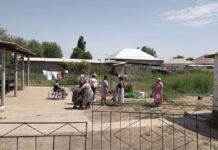 Без воды и дорог живут жители села в Туркестанской области