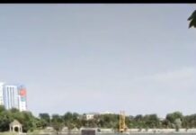 В шымкентском искусственном озере завелся крокодил?