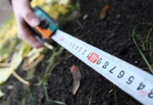 Незаконный захват земель остановили в Шымкенте