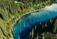 Финансирование сферы туризма, инвесторы и креатив: как будут развивать внутренний туризм?