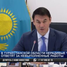 Дархан Сатыбалды отчитал районных акимов