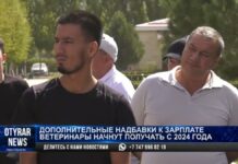 Ветврачи в Шымкенте требуют повышения заработной платы