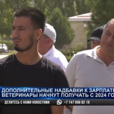 Ветврачи в Шымкенте требуют повышения заработной платы