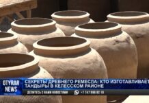 Бизнес на сумму 800 тыс тенге открыли жители Келеского района