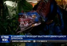 В Шымкент прилетели драконы