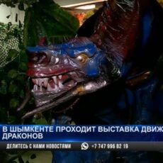 В Шымкент прилетели драконы