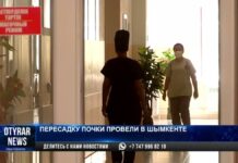 Более двухсот операций по пересадке почек провели в Шымкенте