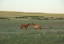 У природы нет плохой погоды