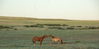 У природы нет плохой погоды