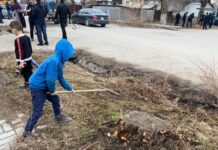 7 октября в Шымкенте пройдет общегородской субботник