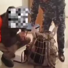 «Пассажир» пытался перевести 25 кг конопли в Шымкент