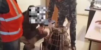 «Пассажир» пытался перевести 25 кг конопли в Шымкент