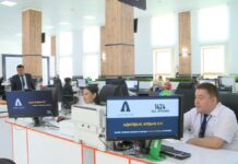 Легализовать «помогаек» в ЦОНах предлагает депутат