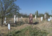 Бродячие собаки раскапывают могилы людей в Шымкенте